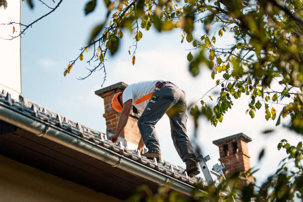 Roof Gutter Cleaning in Antioch, IL