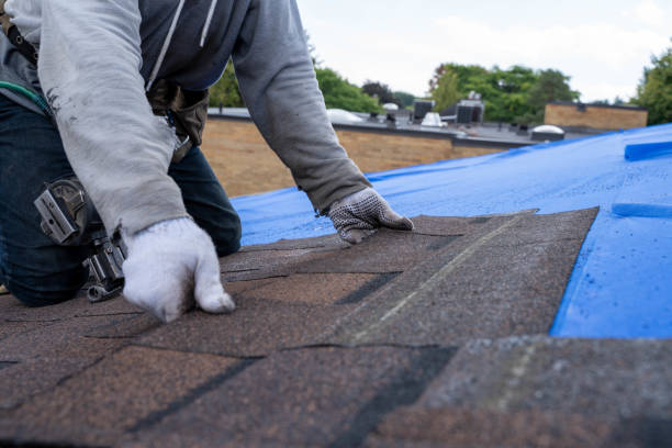 Best Metal Roofing Contractor  in Antioch, IL