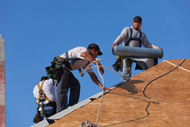 Best Roof Leak Repair  in Antioch, IL
